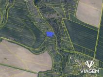 Prodej lesa, Slavičky, 3650 m2