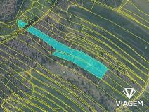 Prodej lesa, Kouty, 5020 m2