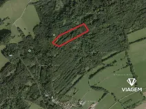 Prodej podílu lesa, Nový Jičín, 3706 m2