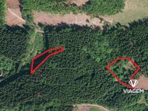 Prodej podílu lesa, Růžďka, 26737 m2