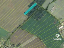 Prodej podílu lesa, Živanice, 3988 m2