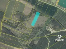 Prodej podílu lesa, Travčice, 1044 m2