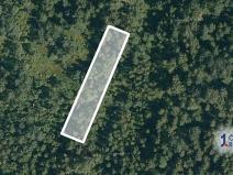 Prodej lesa, Borkovice, 1472 m2