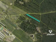 Prodej podílu lesa, Drahov, 3880 m2