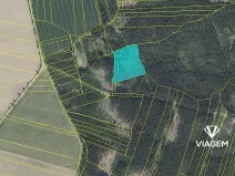 Prodej podílu lesa, Kamenice nad Lipou, 2095 m2