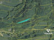 Prodej podílu lesa, Bratřejov, 3636 m2
