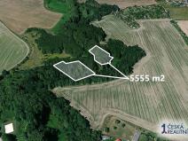 Prodej lesa, Praha, 5555 m2