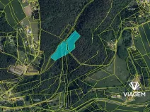 Prodej podílu lesa, Mírová pod Kozákovem, 4616 m2