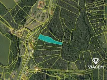 Prodej lesa, Letovice, 2436 m2