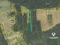 Prodej lesa, Vráž, 3233 m2