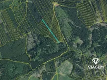 Prodej lesa, Hradiště, 3924 m2