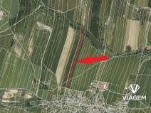 Prodej podílu pole, Melč, 7703 m2