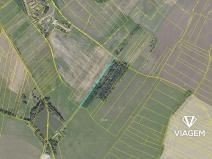 Prodej podílu pole, Hlavečník, 524 m2