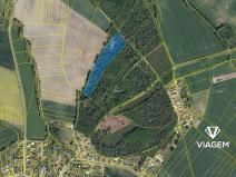 Prodej podílu zahrady, Lány u Dašic, 1768 m2