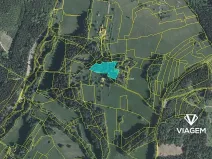 Prodej podílu lesa, Valašská Senice, 4990 m2