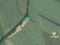 Prodej lesa, Jeseník nad Odrou, 3794 m2