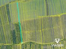 Prodej podílu pole, Bzenec, 605 m2