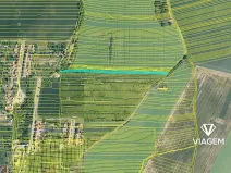 Prodej zahrady, Moravany, 4453 m2