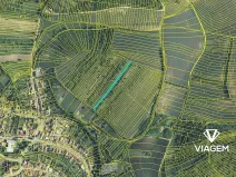 Prodej podílu zahrady, Boleradice, 500 m2