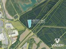 Prodej podílu pole, Staré Město, 1173 m2