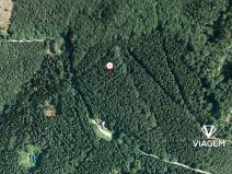 Prodej podílu lesa, Morávka, 5587 m2