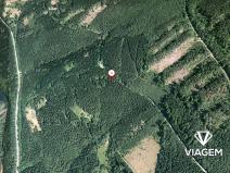 Prodej podílu lesa, Morávka, 4866 m2