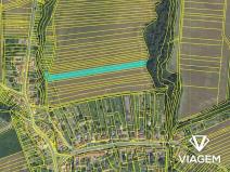 Prodej podílu zahrady, Labuty, 79 m2