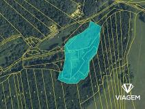 Prodej podílu zahrady, Vlachovice, 2289 m2