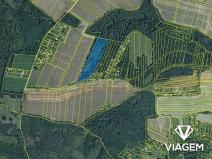 Prodej podílu lesa, Prostějov, 3013 m2