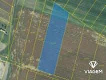 Prodej podílu pole, Kojetín, 248 m2