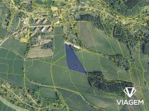 Prodej podílu pole, Těchonín, 2513 m2