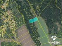 Prodej lesa, Krhov, 3039 m2