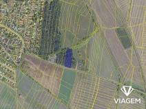 Prodej podílu lesa, Sokoleč, 884 m2