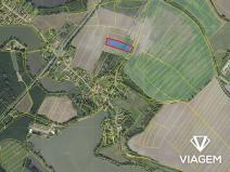 Prodej pole, Chotěšice, 5881 m2