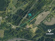 Prodej lesa, Doubrava, 2786 m2