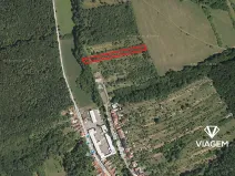 Prodej podílu lesa, Veletiny, 393 m2