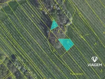 Prodej podílu lesa, Semtěš, 375 m2
