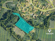 Prodej podílu lesa, Chroustovice, 1085 m2