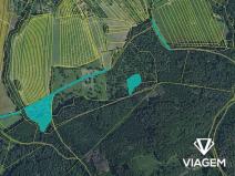 Prodej podílu pole, Cetechovice, 315 m2