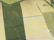 Prodej podílu pole, Staré Město, 1354 m2