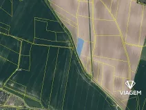 Prodej pole, Vinařice, 2917 m2