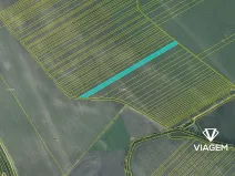 Prodej podílu pole, Velké Pavlovice, 2216 m2