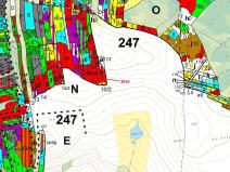 Dražba lesa, Žirovnice, 2931 m2