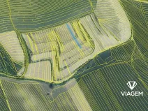 Prodej pole, Nosislav, 1618 m2