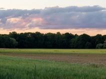 Prodej podílu pole, Oráčov, 1572 m2