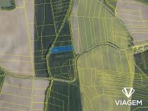 Prodej pole, Zelenecká Lhota, 8571 m2