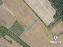 Prodej podílu pole, Všetaty, 3943 m2