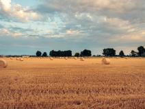 Prodej podílu pole, Střezimíř, 15264 m2
