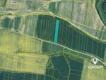 Prodej podílu pole, Dražíč, 641 m2