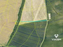 Prodej podílu pole, Bukovany, 1042 m2